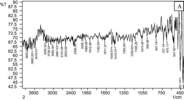 FTIR spectrum of biosynthesized AgNPs.