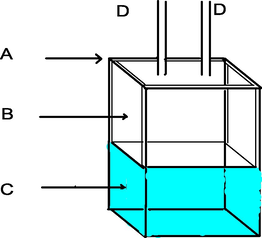 The position of the plunger in the spectrophotometer cell after mixing. A, Spectrophotometer cell. B, Plunger. C, Observation region containing freshly mixed solution. D, External section of stainless steel needles.
