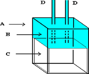 Position of spent solution in the spectrophotometer cell after depressing the plunger. A, Spectrophotometer cell. B, Displaced spent solution. C, Plunger. D, External section of stainless steel needles.