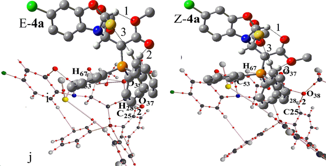(i) Intramolecular hydrogen bonds (dotted lines) in the two E-4a and Z-4a geometrical isomers of stable ylide 4a. (j) A part of molecular graphs, including intermolecular hydrogen bond at critical points (BCPs) for the two E-4a and Z-4a geometrical isomers of stable ylide 4a.
