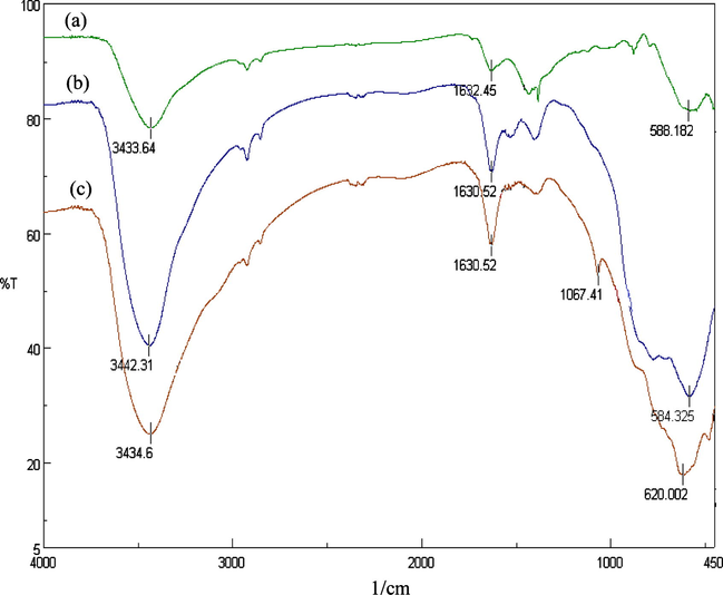 FTIR spectra of the Fe3O4 nanoparticles (a), ACMNPs (b), and DMG/SDS-ACMNPs (c).
