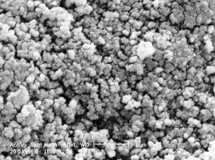 The SEM photograph of nano-SSA.