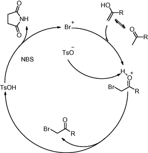 Proposed mechanism for microwave assisted α-bromination of carbonyl compounds with NBS catalyzed by PTSA.