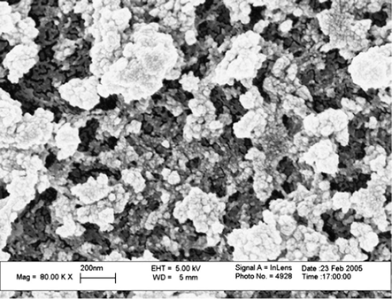 High resolution SEM image of a silica film with a TMOS/IBTMOS ratio of 1:1 (Xiu et al., 2008).
