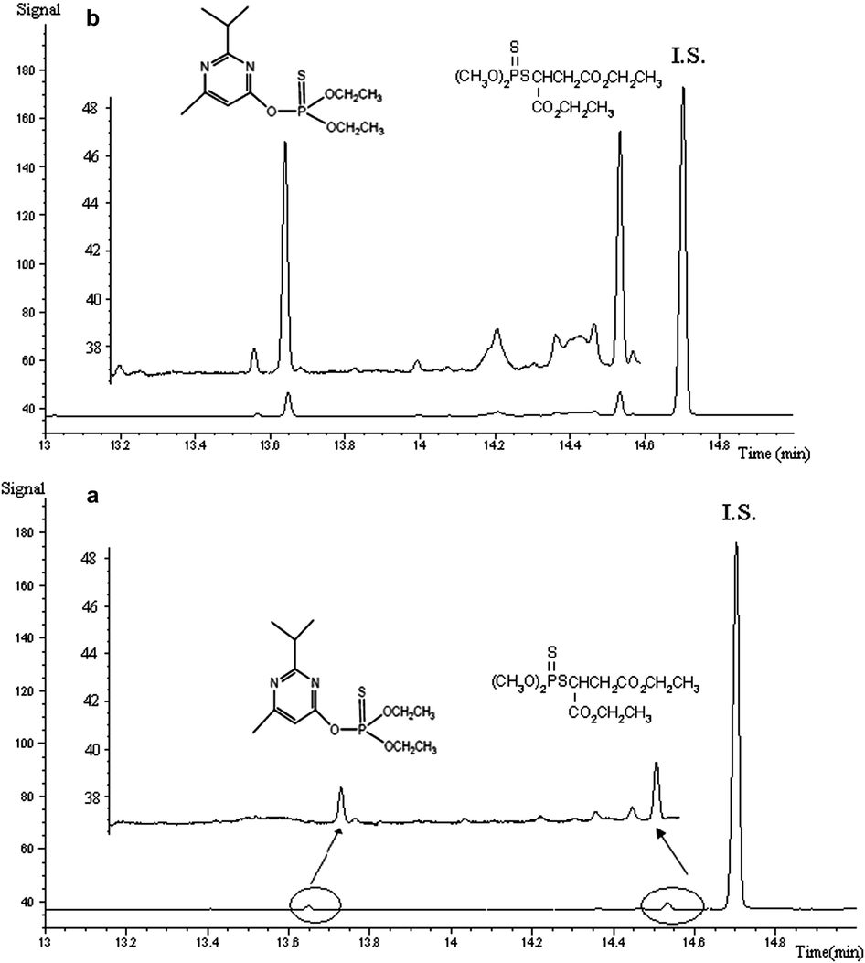 Chromatogram of of OPPs for a tap water spiked at 1.0 μg L−1 (a) and 10.0 μg L−1 (b) by MCCLLE (I.S. = internal standard). Conditions: sample volume 10.0 mL, 500 μL of methanol containing 100 μL butyl acetate.