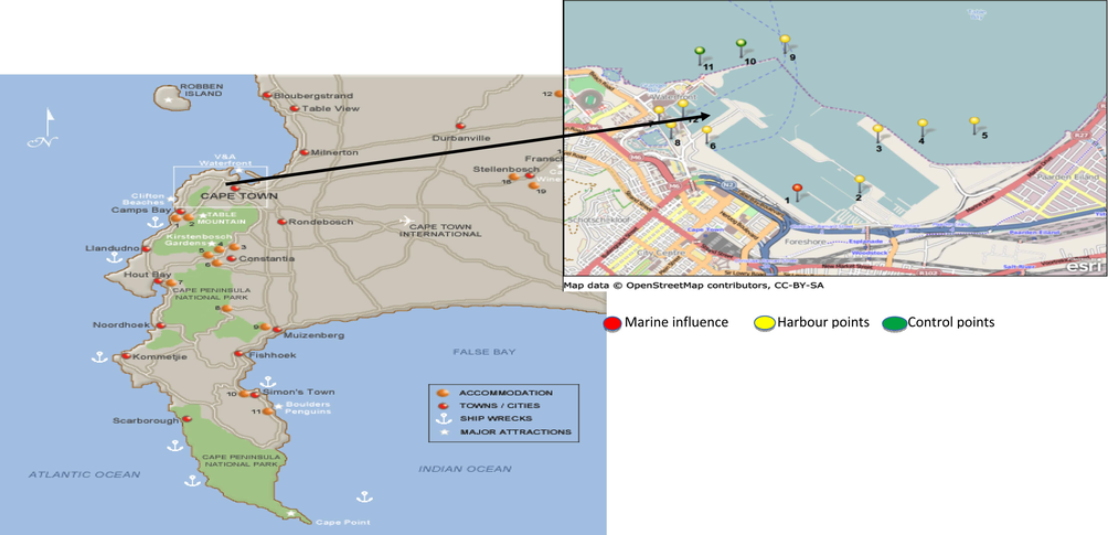Map indicating the sampling location and sampling points on Cape Town harbour.