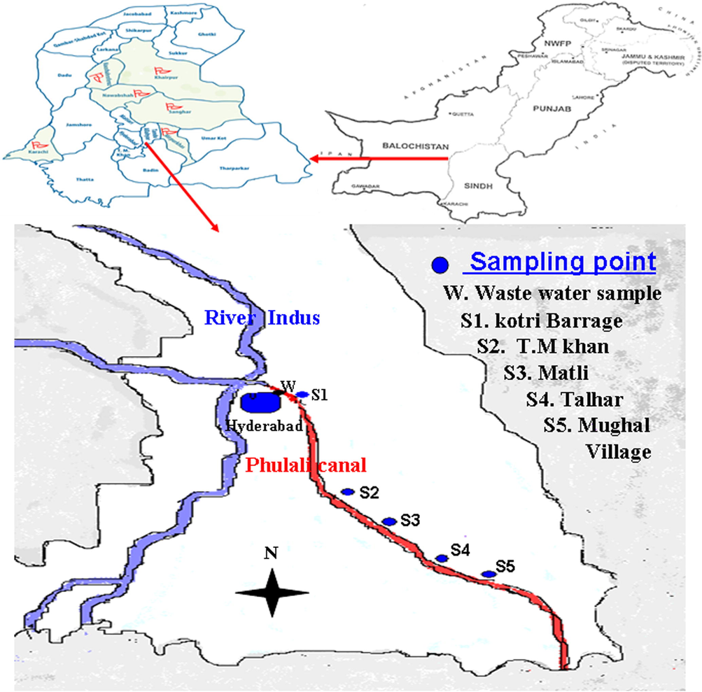 Map showing the six sampling points from upstream (W) to downstream of Phulali Canal (S1–S5).