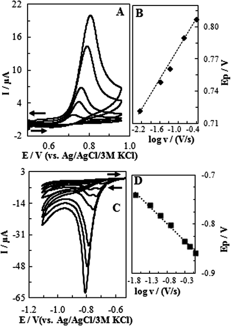 CVs of CTP solutions with different scan rates in 0.04 M BR on (A) GC (scan rates from lower to higher; 0.01, 0.05, 0.30, 0.75 V/s, pH 4.0, CCTP = 0.85 mM, (B) dependency of peak potential to logarithm of scan rate, (C) HMDE (scan rates from lower to higher; 0.02, 0.05, 0.10, 0.30, 0.50, 0.70, 1.00 V/s, pH 6.0, CCTP = 0.75 mM), and (D) dependency of peak potential to logarithm of scan rate.