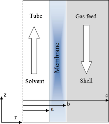 Geometry of hollow-fiber considered in modeling and simulation.