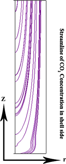 Streamline of CO2 concentration in the gas phase.