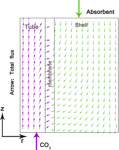 Total flux of CO2 and absorbent in the membrane module.