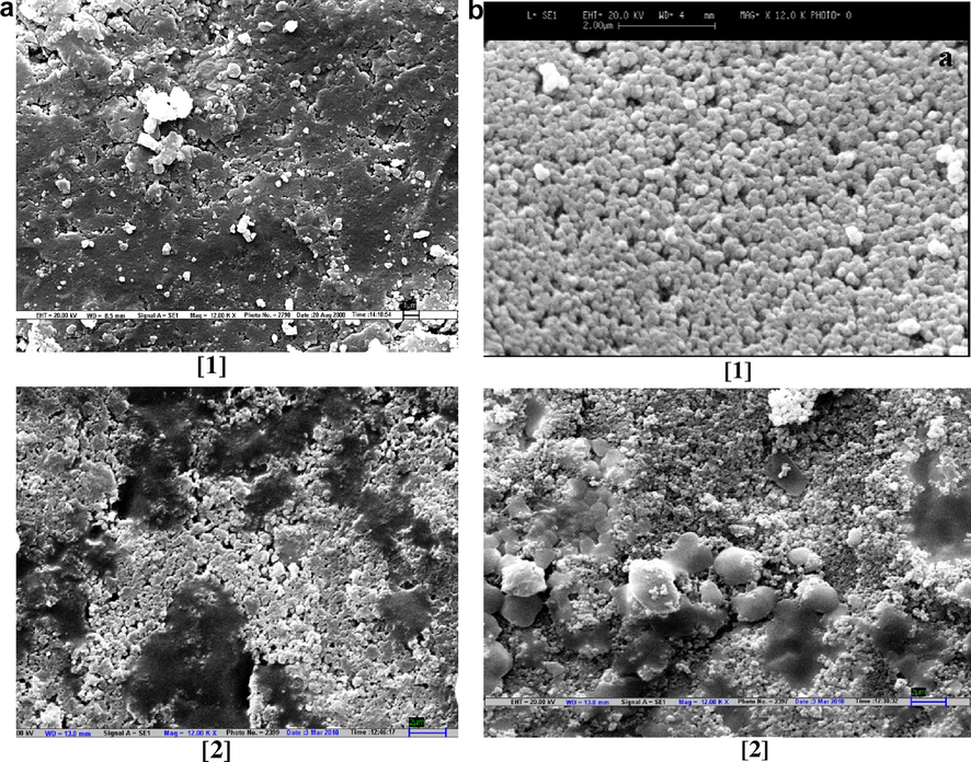 (a and b) SEM micrographs of (1 − x)CsI–xAl2O3 samples: (1) pure Al2O3 and (2) x = 0.3.
