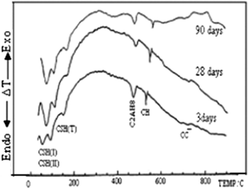 The DTA thermogram of the hardened cement pastes of Mix (M-e) cured up to 90 days.