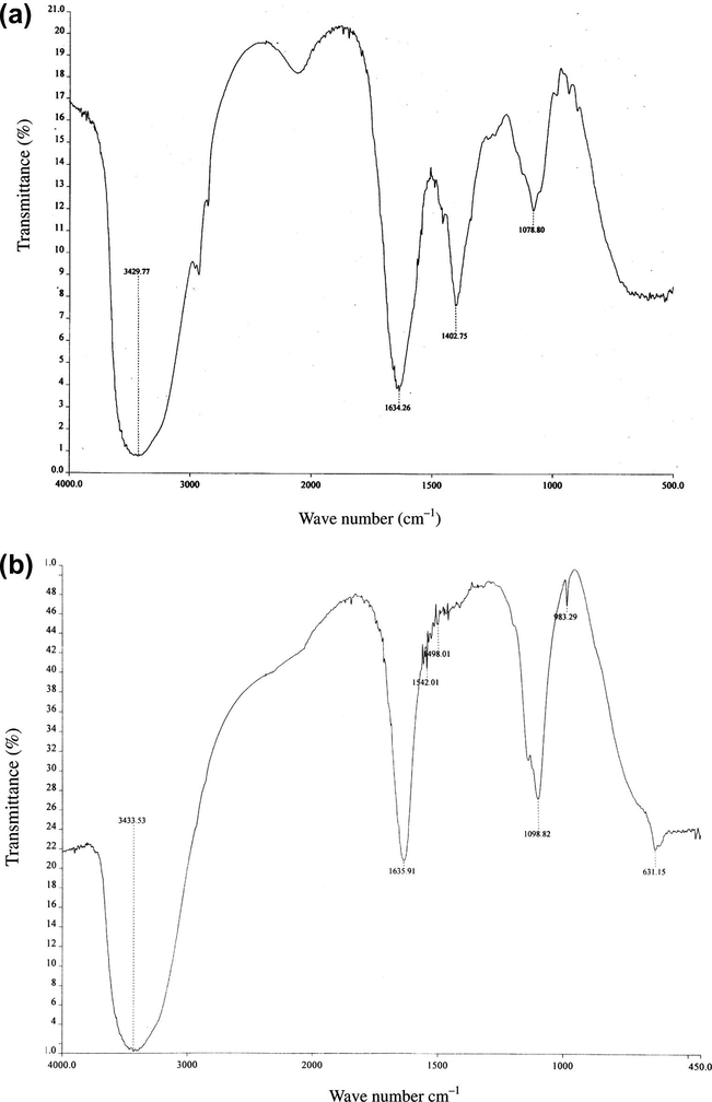 FTIR spectra of (a) Sida acuta ST extract (b) film on mild steel surface after immersion in 1 M H2SO4 containing 0.5 g/L ST extract after 10 h of immersion.