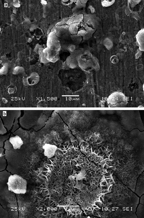 SEM micrographs of samples after immersion in 1 M HCl (a) without (b) with 4 × 10−3 M HMDTMPA.