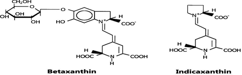 Structure of indicaxanthin and betaxanthin pigments.