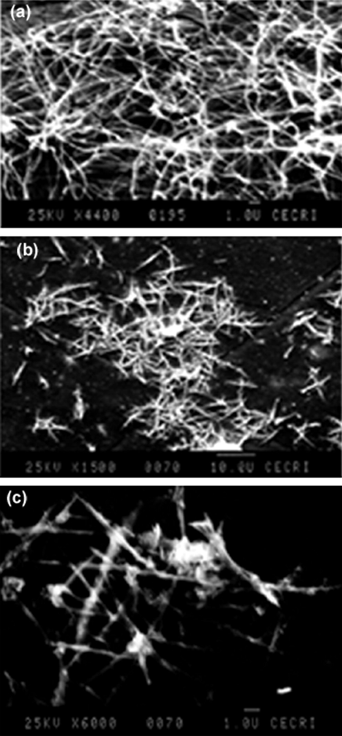 SEM images of (a) ASF-I, (b) ASF-II, and (c) ASF-III terpolymers.