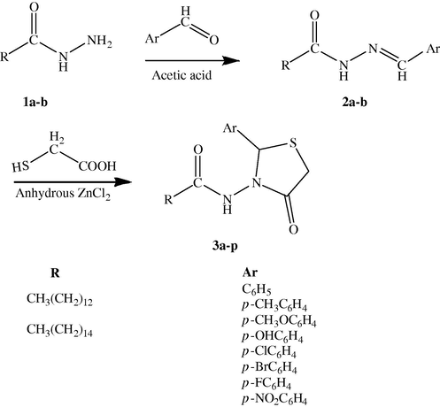 Synthesis of 2-aryl-3-alkanamido-4H-thiazolidin-4-ones.