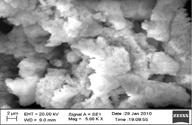 The SEM image of Cu(II) complex.