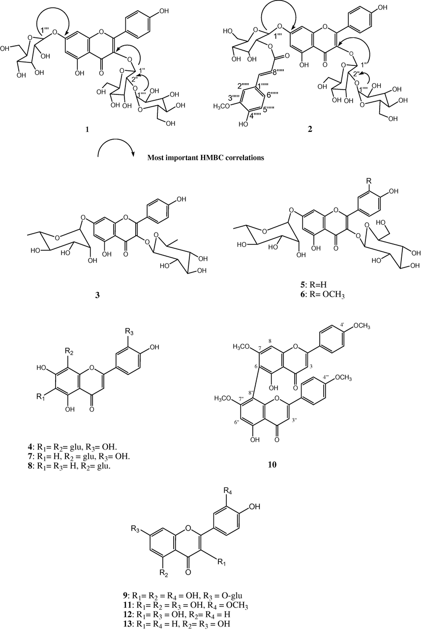 Chemical structures of flavonoid compounds (1–13) isolated from Erucaria hispanica (L.) Druce.