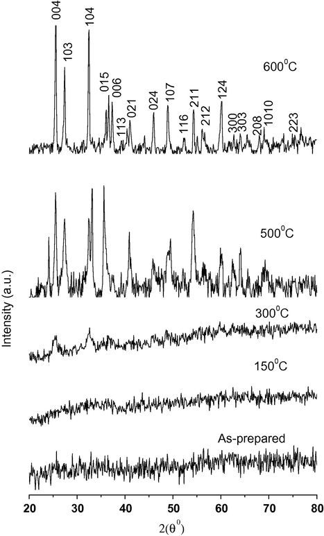 XRD patterns of powders calcined at different temperatures.