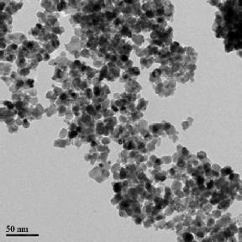 TEM of FeTiO3 powder calcined at 600 °C.