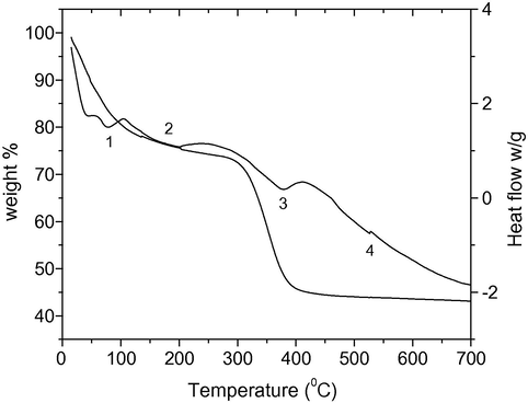 TG/DSC tracing of precursor gel.