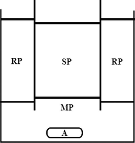 Representation of the bulk type liquid membrane cell used: SP = source phase, RP = receiving phase, MP = membrane phase, A = magnetic stirrer.