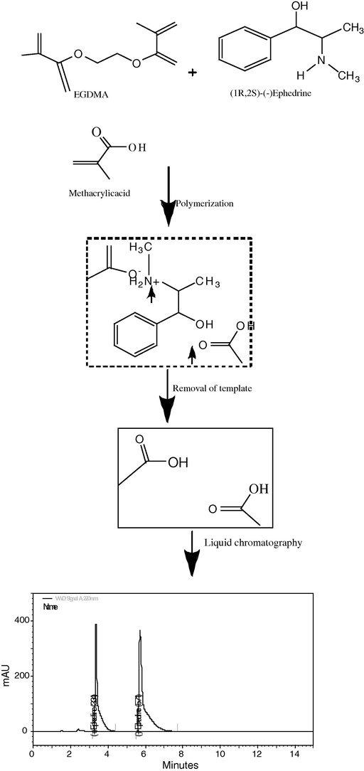 Schematic representation of hypothetical formation of molecularly imprinted polymer and chiral separation, using (-)-Ephedrine as template Arrows represent potential electrostatic and hydrogen-bonding interactions between methacrylic acid and the template.