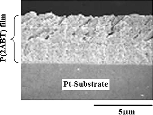 Cross sectional SEM image of P(2ABT) film formed at Pt-substrate at optimum condition of preparation (no. of cycles 5).