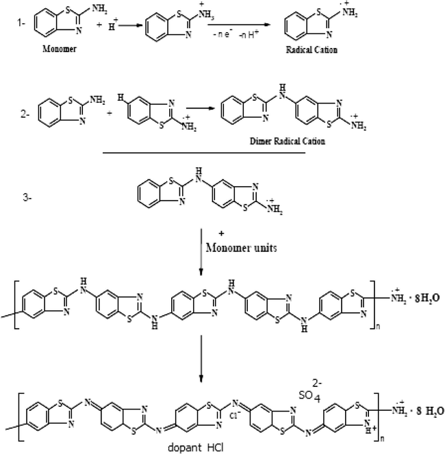 Suggested mechanism of P(2-ABT) formation.