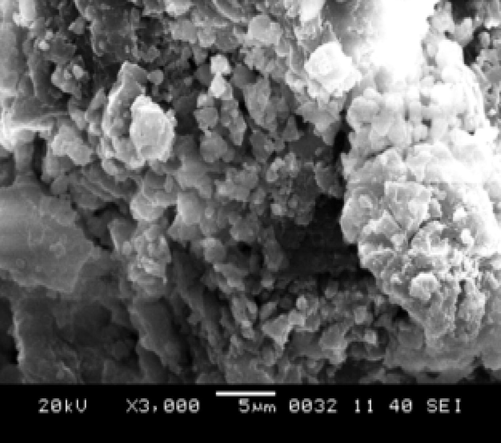 SEM micrographs of p-HBBF terpolymer resin at 3000× magnification.