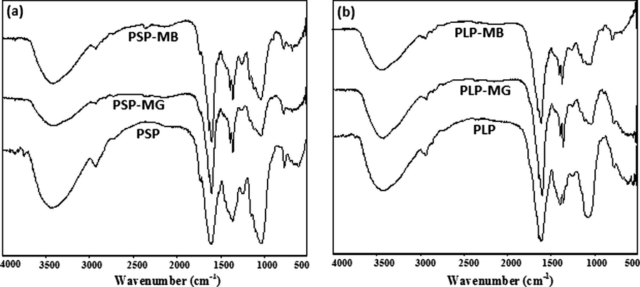 FTIR spectra of PSP (a) and PLP (b) before and after the adsorption of MB and MG.