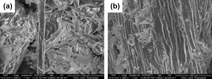SEM images of PSP (a) and PLP (b).