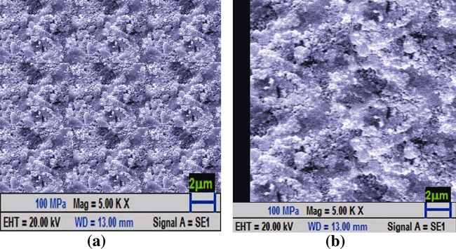 SEM image of polystyrene based BMP composite membrane at 100 MPa. (a) Surface SEM image. (b) Cross-sectional view.