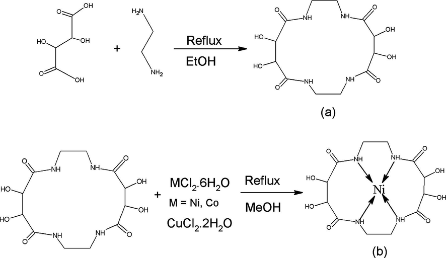 (a) Synthesis of ligand and (b) its metal complexes [Cu(II), Co(II), and Ni(II)].