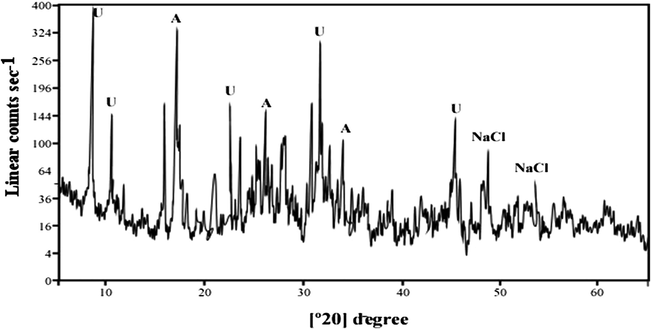 X-ray diffraction spectrum of calcinated uranium diuranate cake. U: ammonium diuranate, A: ammonium sulfate.