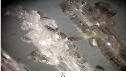 Stereo-photograph for the crystals of rare earths oxalate extracted from (Th–U) concentrate: (i) Aggregates of colorless prismatic crystals form of rare earths oxalate, X = 20.