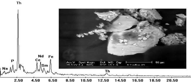 SEM micrograph and the corresponding EDX spectrum of thorium oxide.