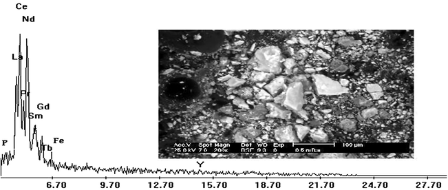 SEM micrograph and the corresponding EDX spectrum of rare earths oxide extracted from (Th–U) concentrate.