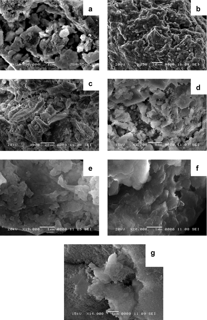 Scanning electron microscope micrographs for the parent samples namely: (a) Al; (b) AlSi(8); (c) AlSi(26); (d) AlSi(39); (e) AlSi(57); (f) AlSi(77); and (g) Si.