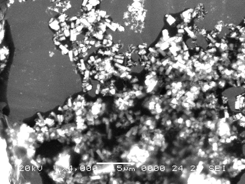 SEM image of Mn2+ doped ZnO nanoparticles.
