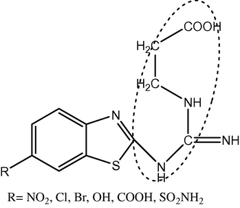 3-(3-(6-Substituted Benzo[d]thiazol-2-yl) guanidino)propanoicacid derivative.