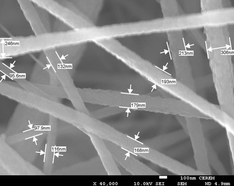 FESEM image of PAN electrospun nanofiber.