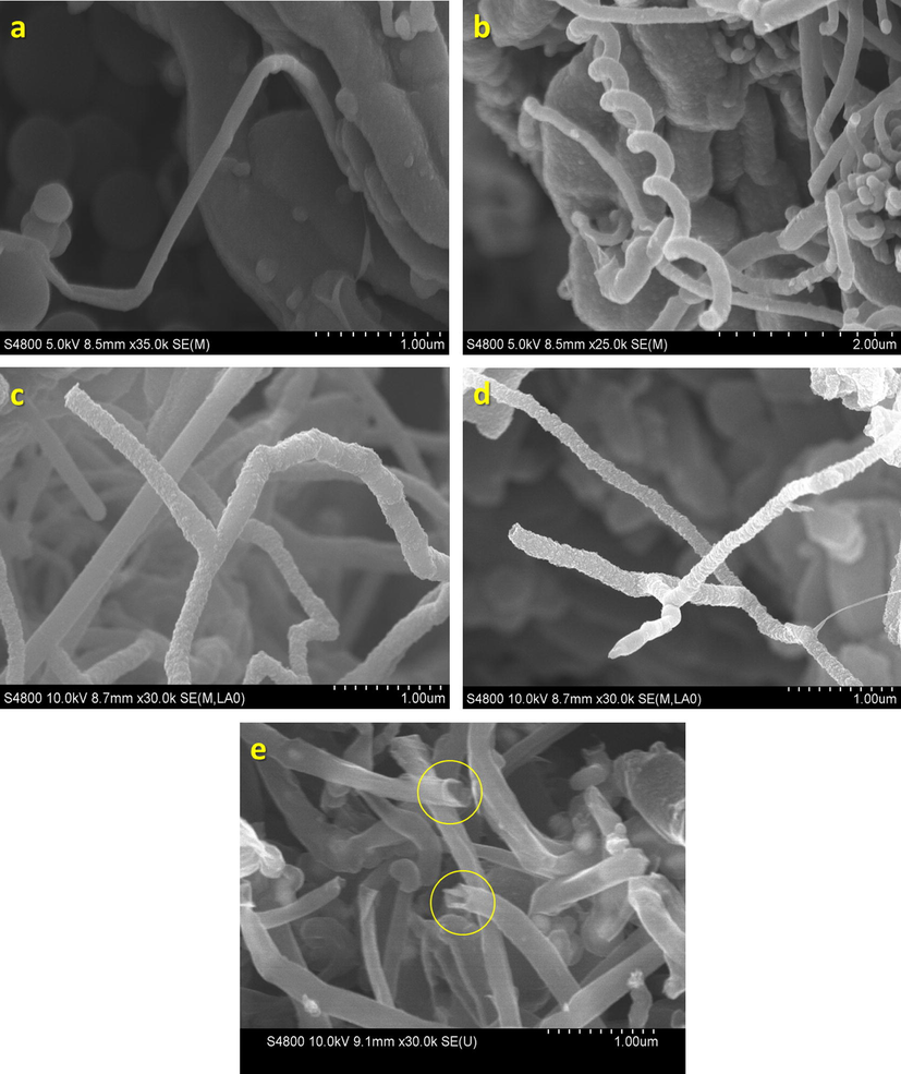 HRSEM images of CNT/FeSBA-15 with different Fe contents: (a and b) CNT/FeSBA-15(2), (c) CNT/FeSBA-15(3), (d) CNT/FeSBA-15(5), and (e) purified CNT/FeSBA-15(2).