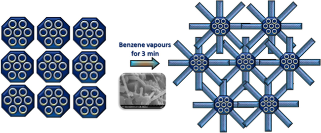 Schematic representation of the formation of CNT and FeSBA-15 interconnected network. Inset shows SEM image of interconnected network between FeSBA-15 and CNT.