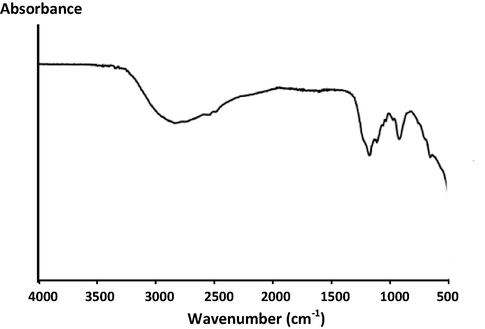 FT-IR spectrum of C/N-doped TiO2.