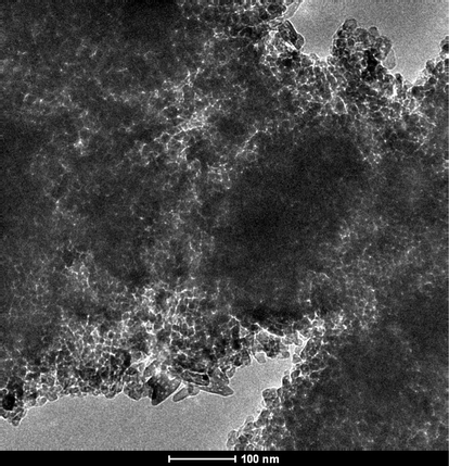 TEM image for the prepared C/N-doped TiO2.