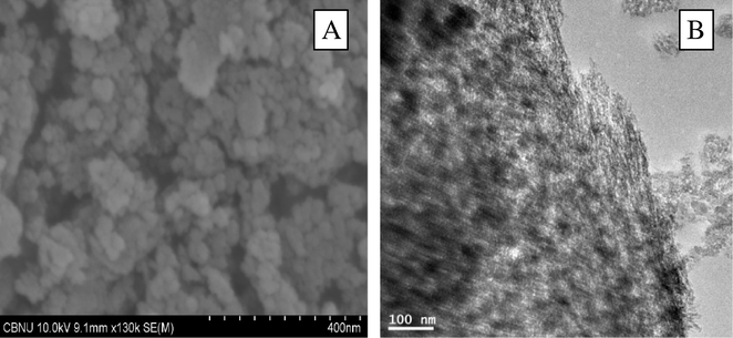 (A) FE-SEM images of the obtained nanosilica and (B) TEM images for the obtained nanosilica.