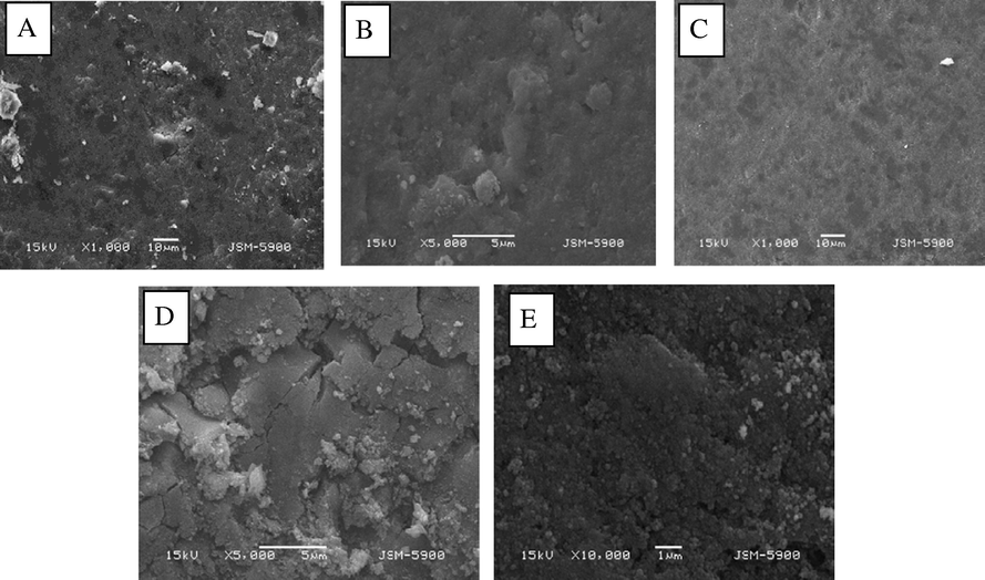 SEM images for (A) AA10-S20, (B) AA20-S20, (C) AA30-S20, (D) AA40-S20, and (E)AA50-S20.